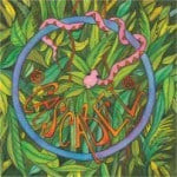 10724627_709109119193393_1202653305_a