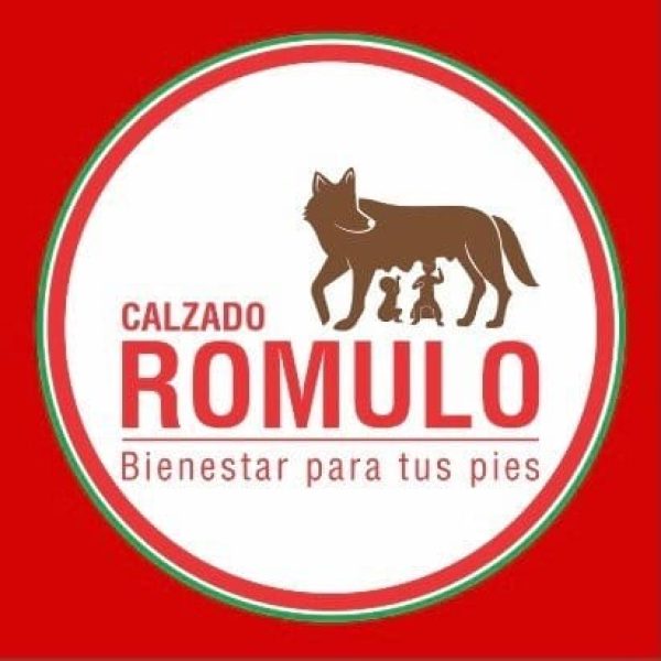 221804278_416275479636276_7168214204931518747_n