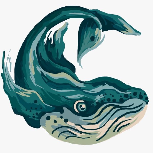 439338892_395616696687210_6783359699378279264_n