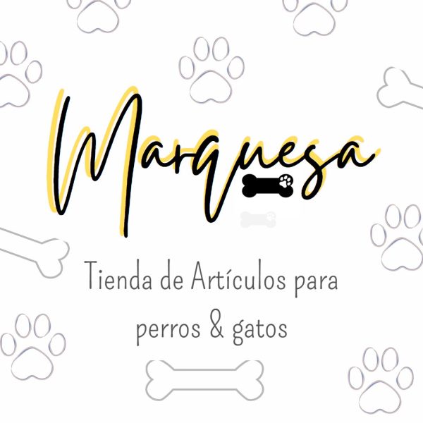 456101999_390482607399208_8475116471559326985_n