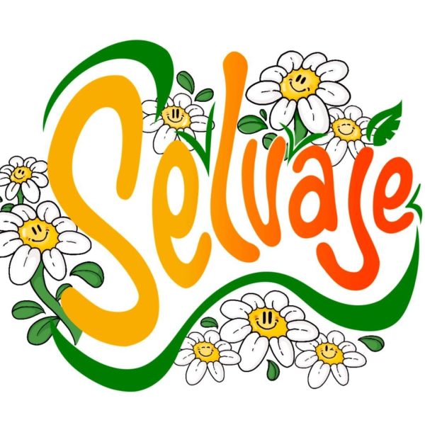 482500392_947750647536792_7592872689216844706_n (1)