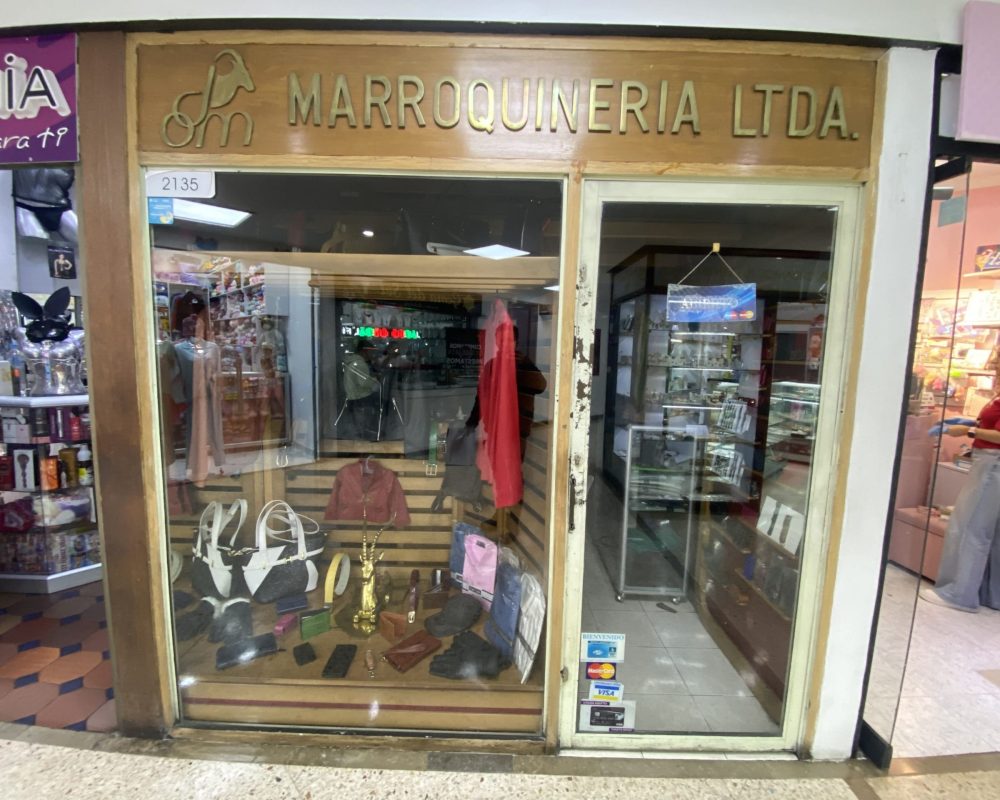 centro comercial galerias-EXEV0411 (102)