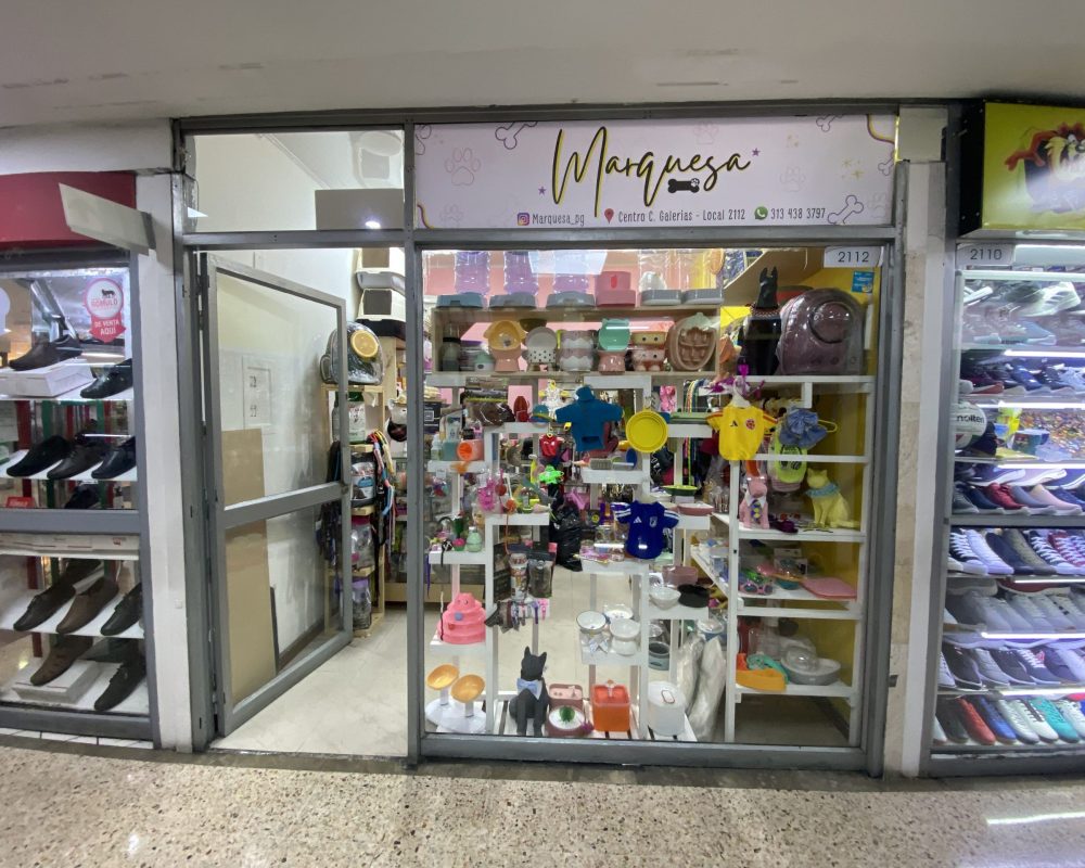 centro comercial galerias-EXEV0411 (109)