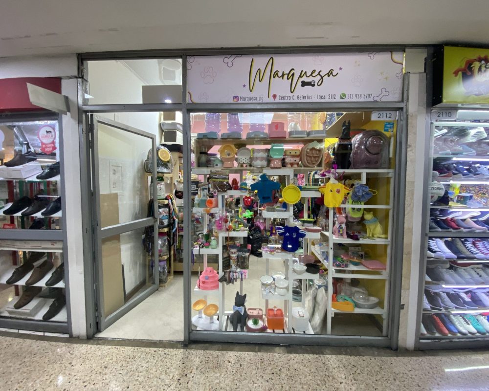 centro comercial galerias-EXEV0411 (109)