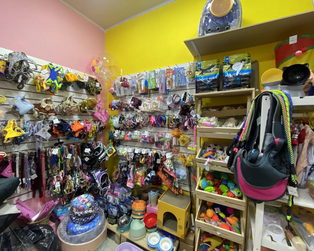 centro comercial galerias-EXEV0411 (110)