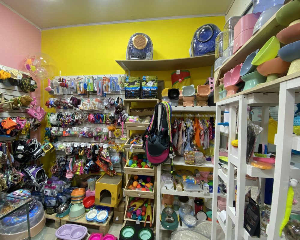 centro comercial galerias-EXEV0411 (111)