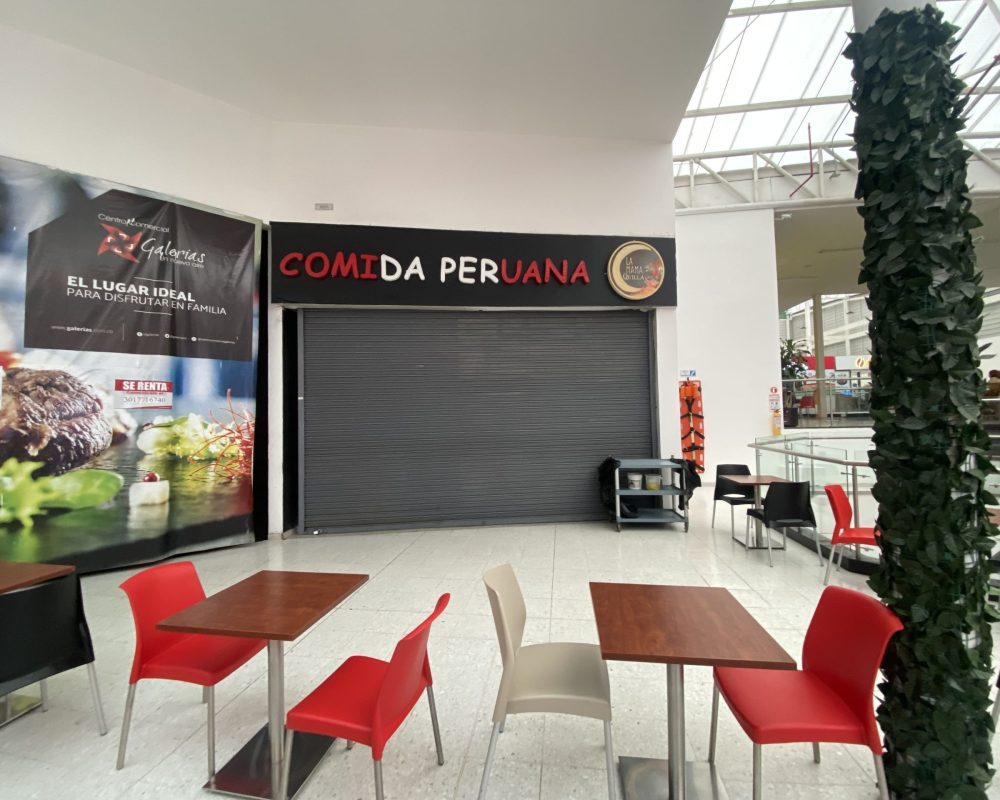 centro comercial galerias-EXEV0411 (112)