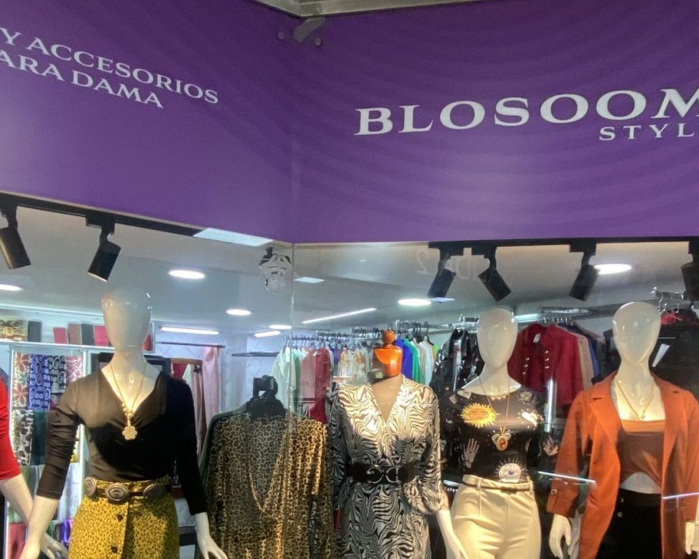 centro comercial galerias-EXEV0411 (80)